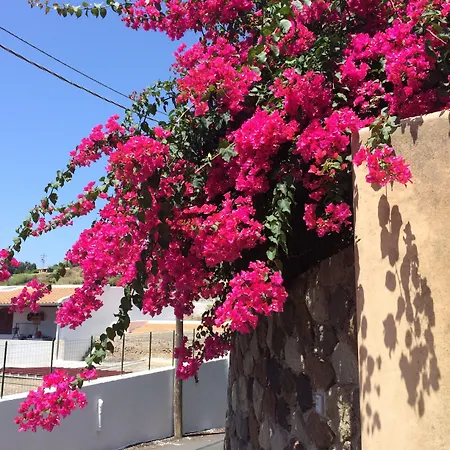 Casa vacanze Le Mannare Vacanze Di Metopa Srl Piano Conte